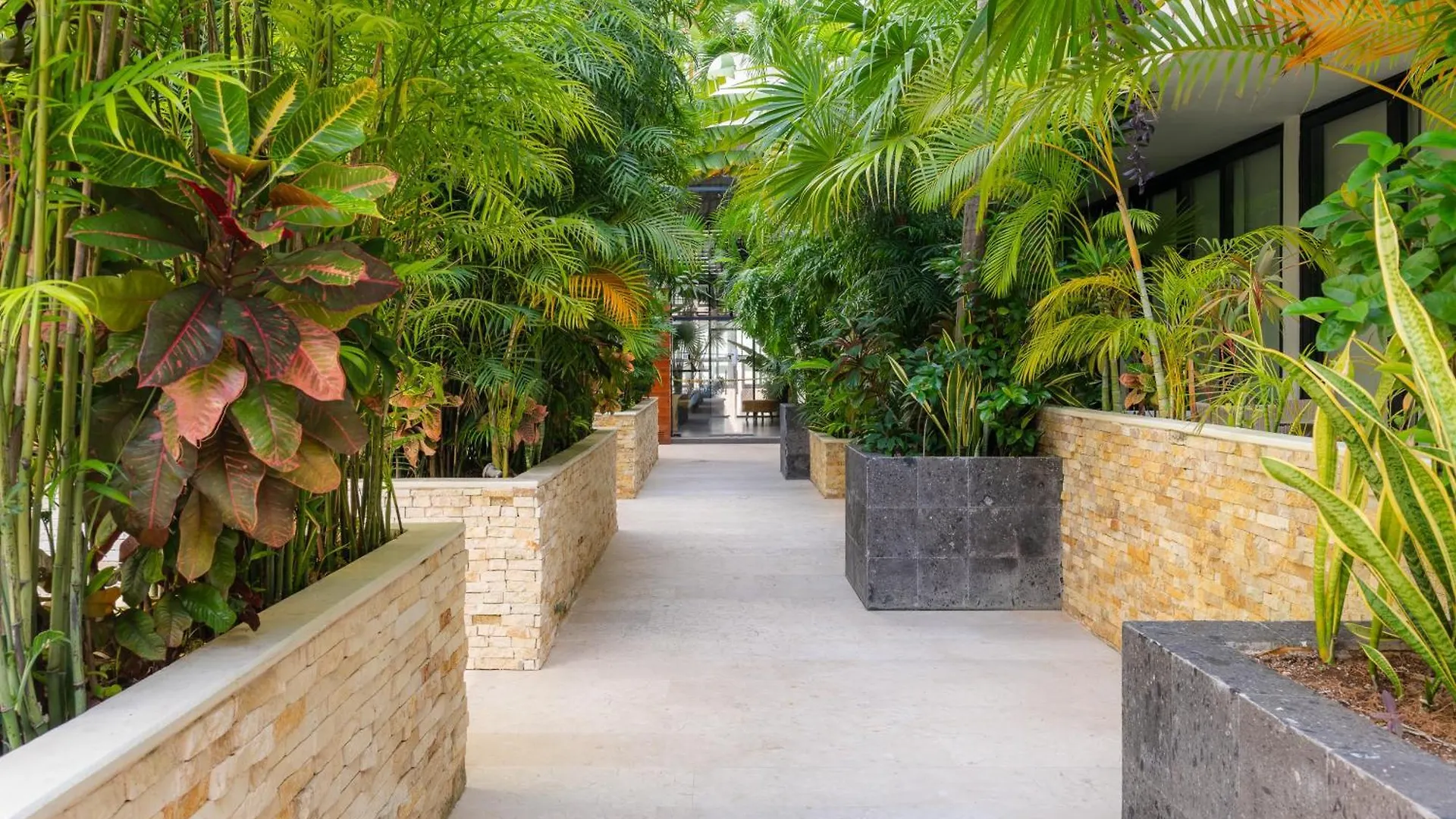 Tu Oasis En Playa Del Carmen Apartment Mexico