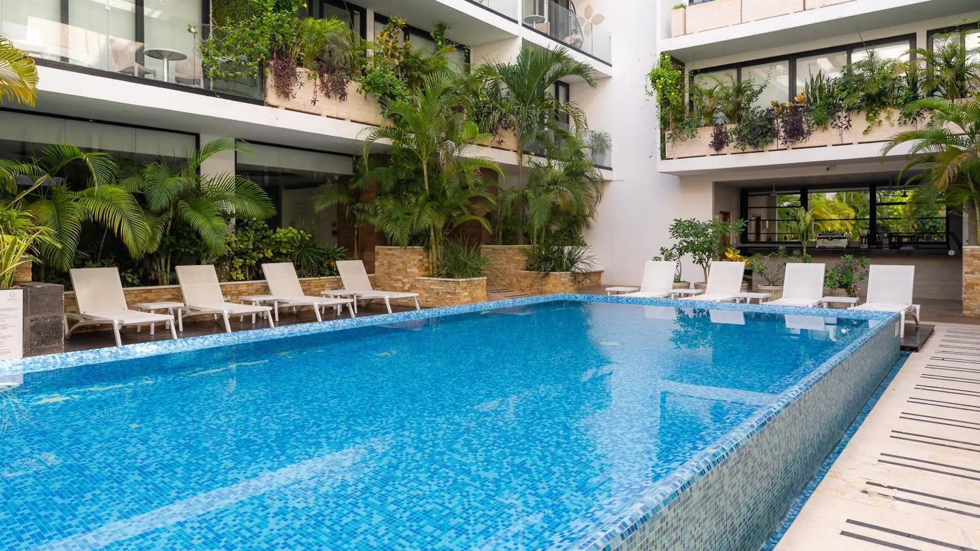 Tu Oasis En Playa Del Carmen Apartment